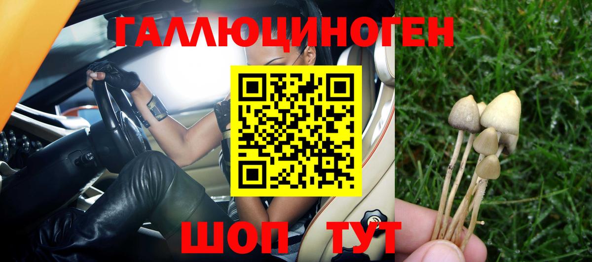 Галлюциногенные грибы Cubensis  Вход с VPN  что такое наркотик  Абакан  Галлюциногенные грибы мухоморы 