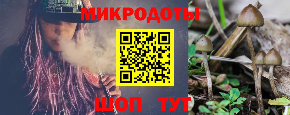 Галлюциногенные грибы GOLDEN TEACHER Абакан